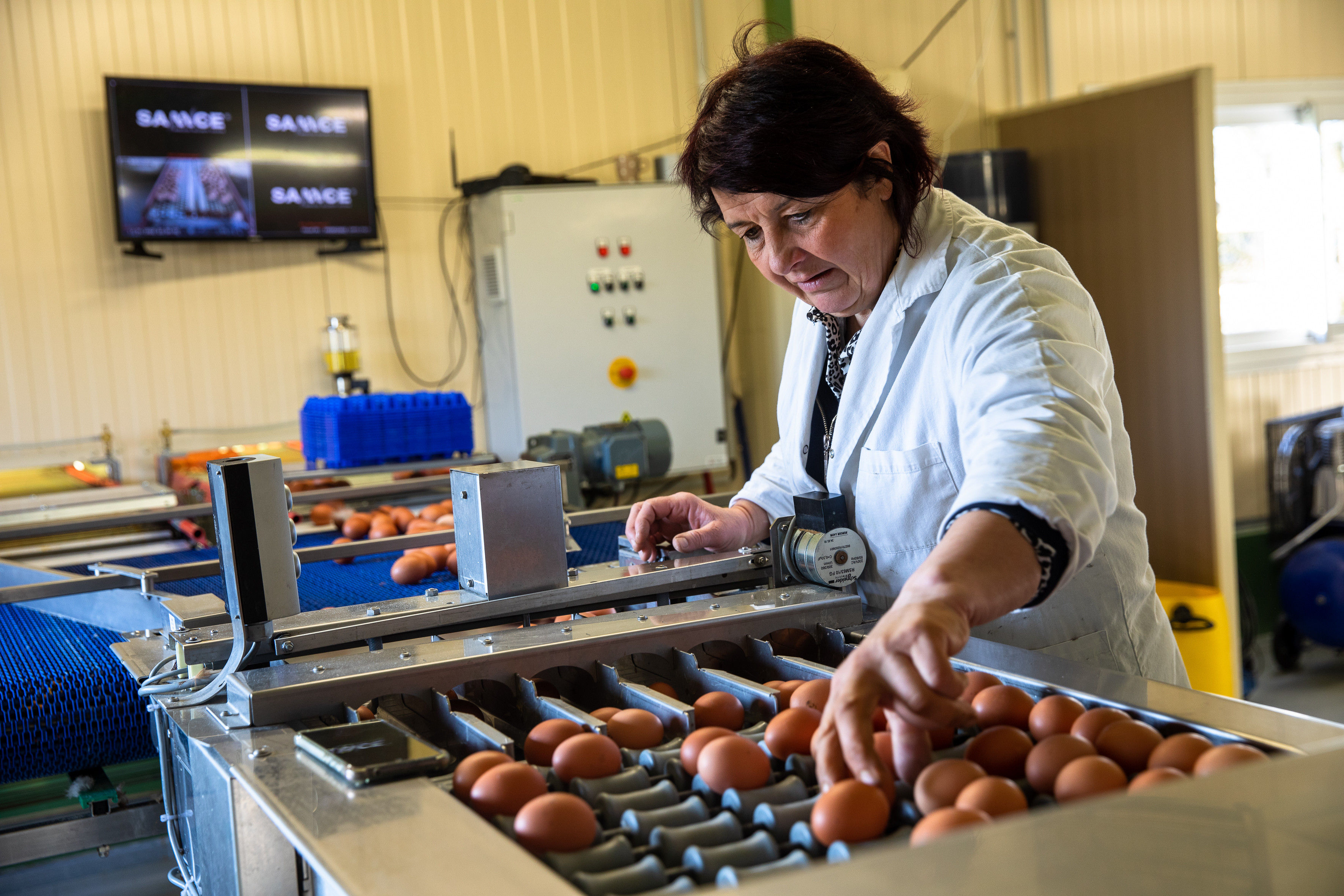 Christelle Koenig, éleveuse de poules pondeuses à Vauthiermont (90) - Photo Ludovic Godard