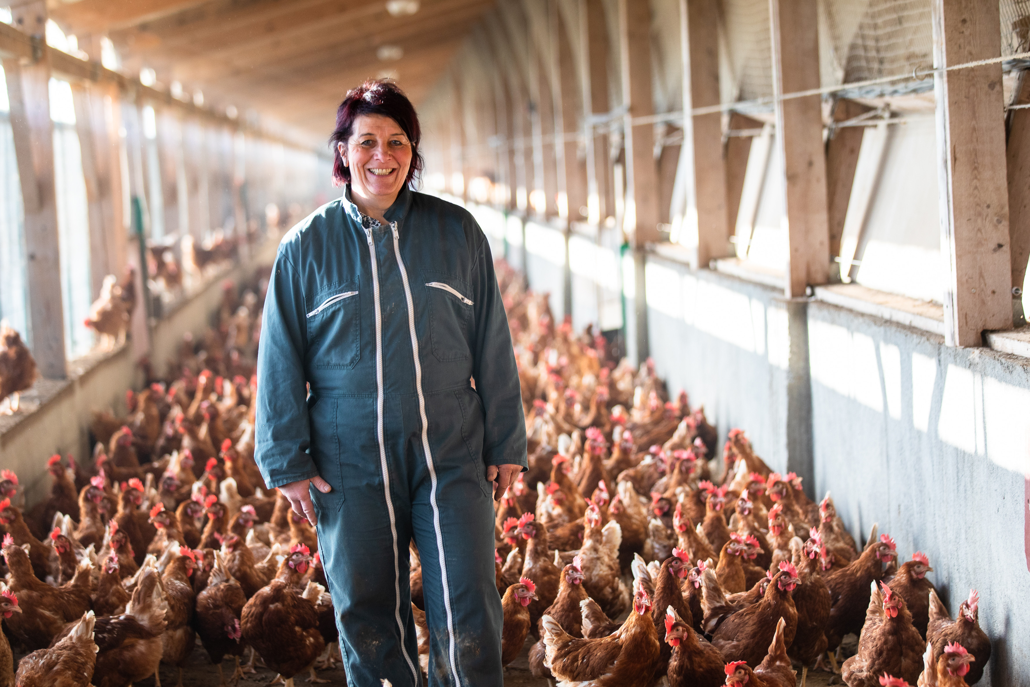 Christelle Koenig, éleveuse de poules pondeuses à Vauthiermont (90) - Photo Ludovic Godard