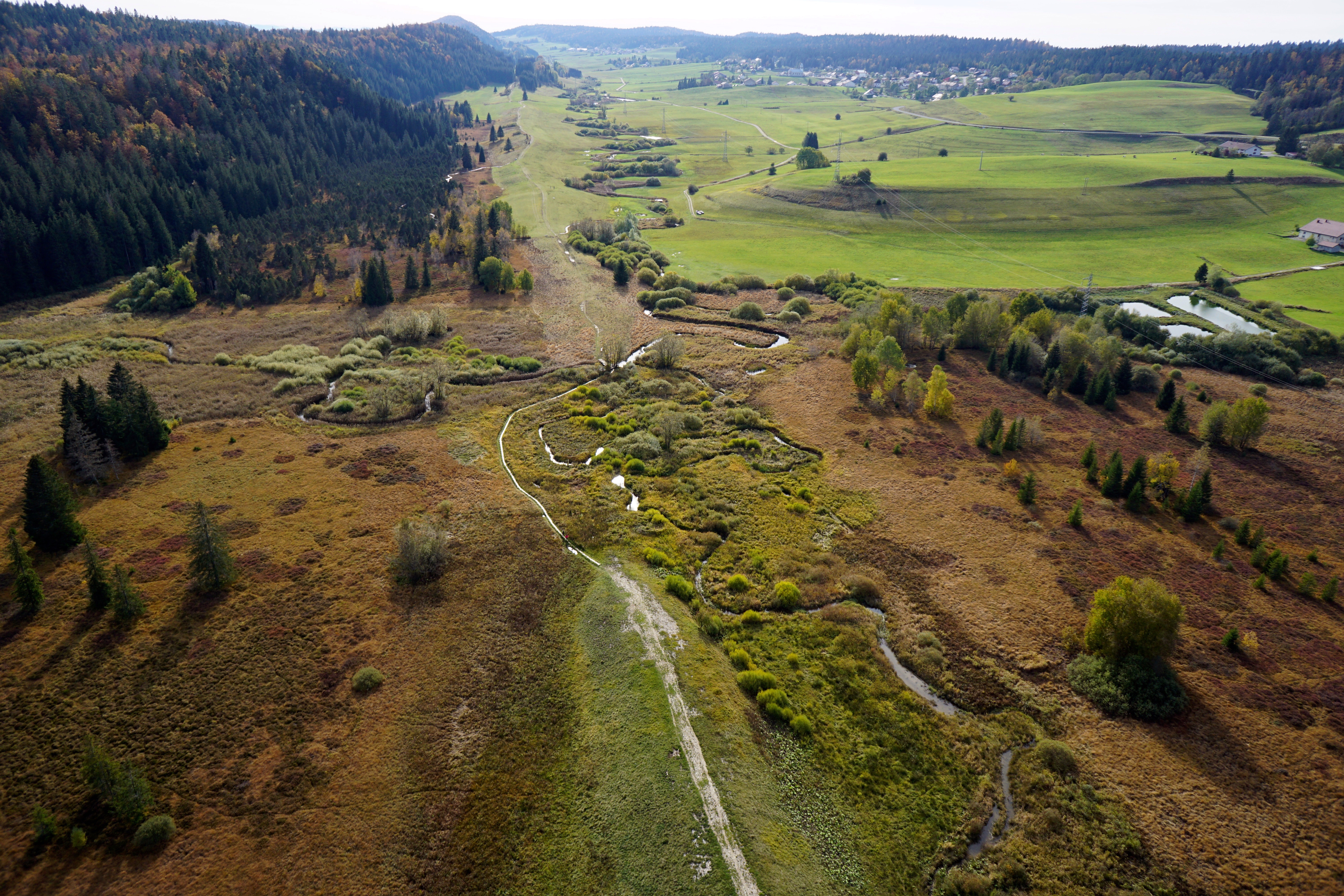 La réserve naturelle régionale des Tourbières du Bief du Nanchez (39) - DR