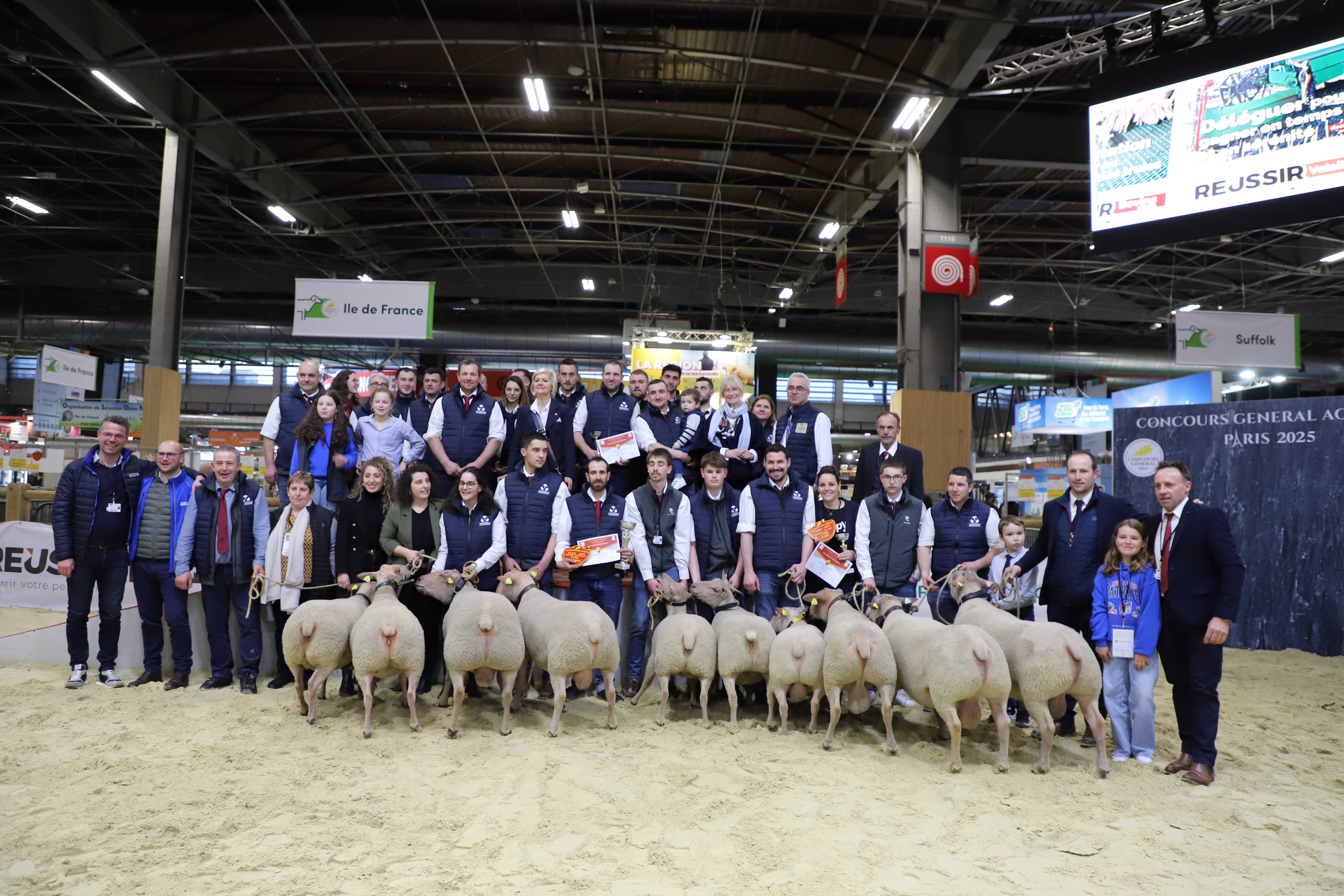 La fillière du mouton charollais a été largement récompensée lors du concours général agricole dédiée à la race. Crédit Océane Lavoustet