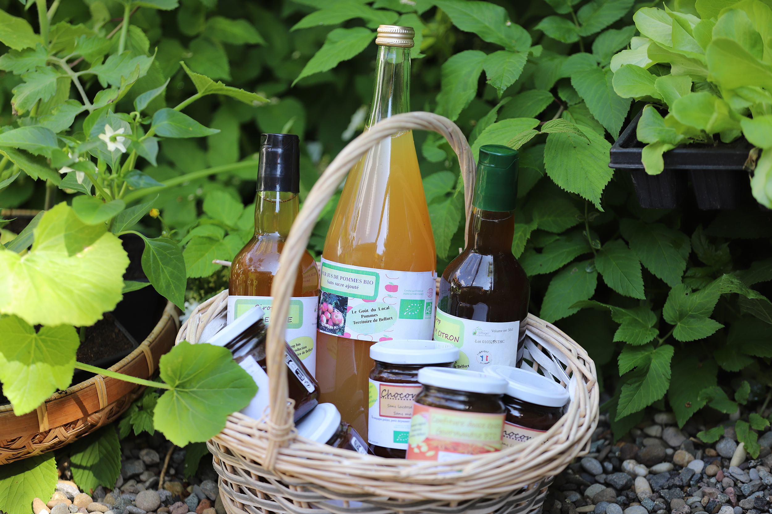 Production du Potager des Jeunes Pousses, à Grosmagny (Territoire de Belfort) - Photo Emma Miskizak