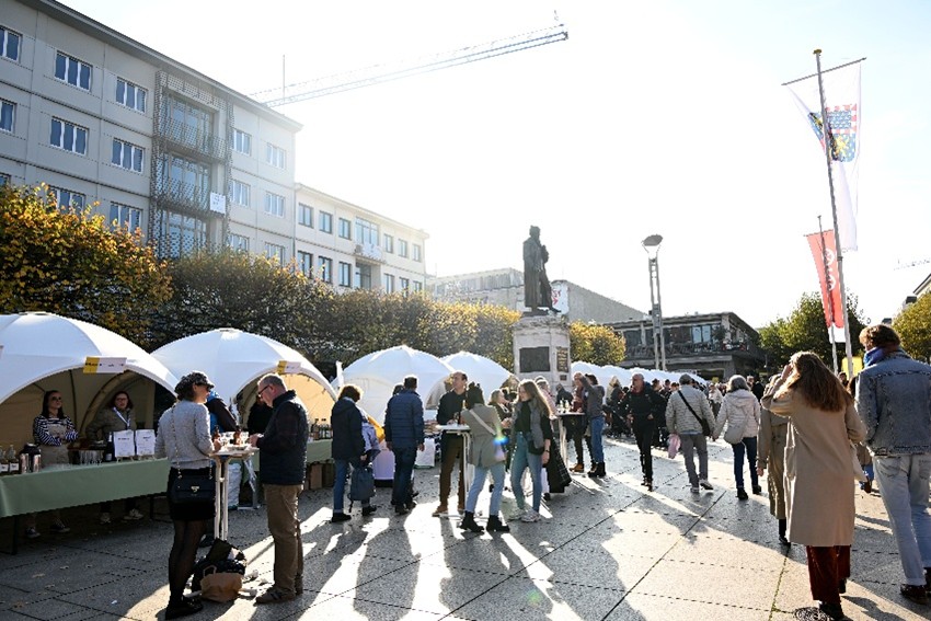 Les neufs nouveaux lycées, labélisé « écolycée » en 2025. Photo : Xavier DUCORDEAUX