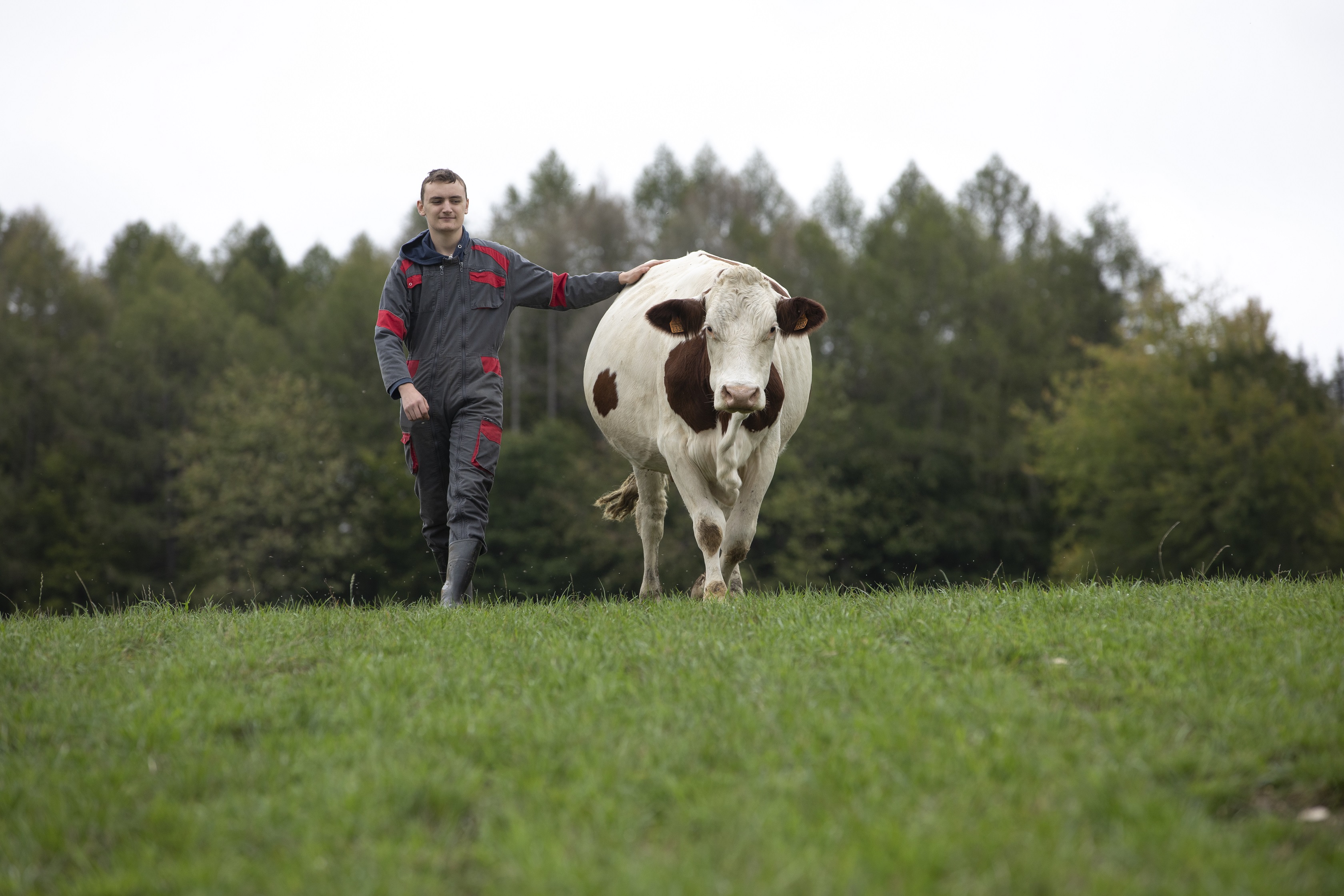 Ferme de la Vie du Fer Saône - Crédit David Cesbron 