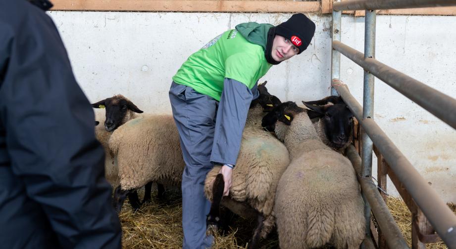 Noah Kaiser, vainqueur des Ovimpiades Franche-Comté 2025. Photo : Xavier Ducordeaux.