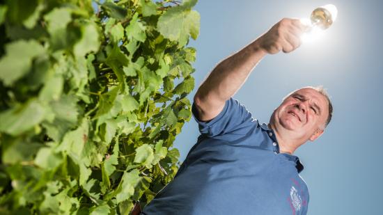 Henri-Xavier Guillaume, pépiniériste et vigneron à Charcenne ( 70) - Photo William Beekman