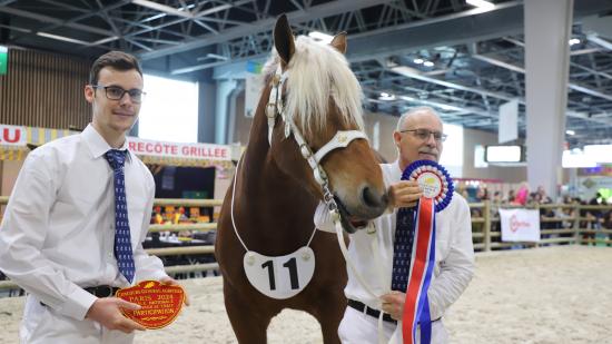 Concours des chevaux Comtois, mercredi 28 février 2024 au salon de l’Agriculture - Photo Océane Lavoustet