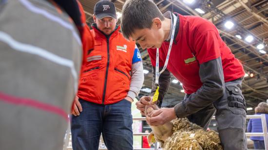 Romain Rogemont, vice-champion de France des jeunes bergers 2024. Photo : Xavier Ducordeaux.