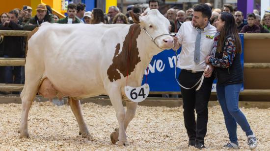 Concours des Montbéliardes au SIA 2025 - Photo Wavier Ducordeaux