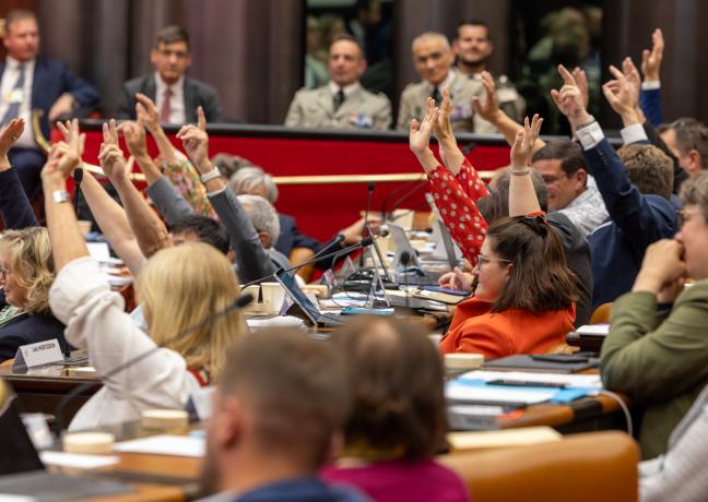 Assemblée plénière du Conseil régional de Bourgogne-Franche-Comté - Photo Xavier DUCORDEAUX